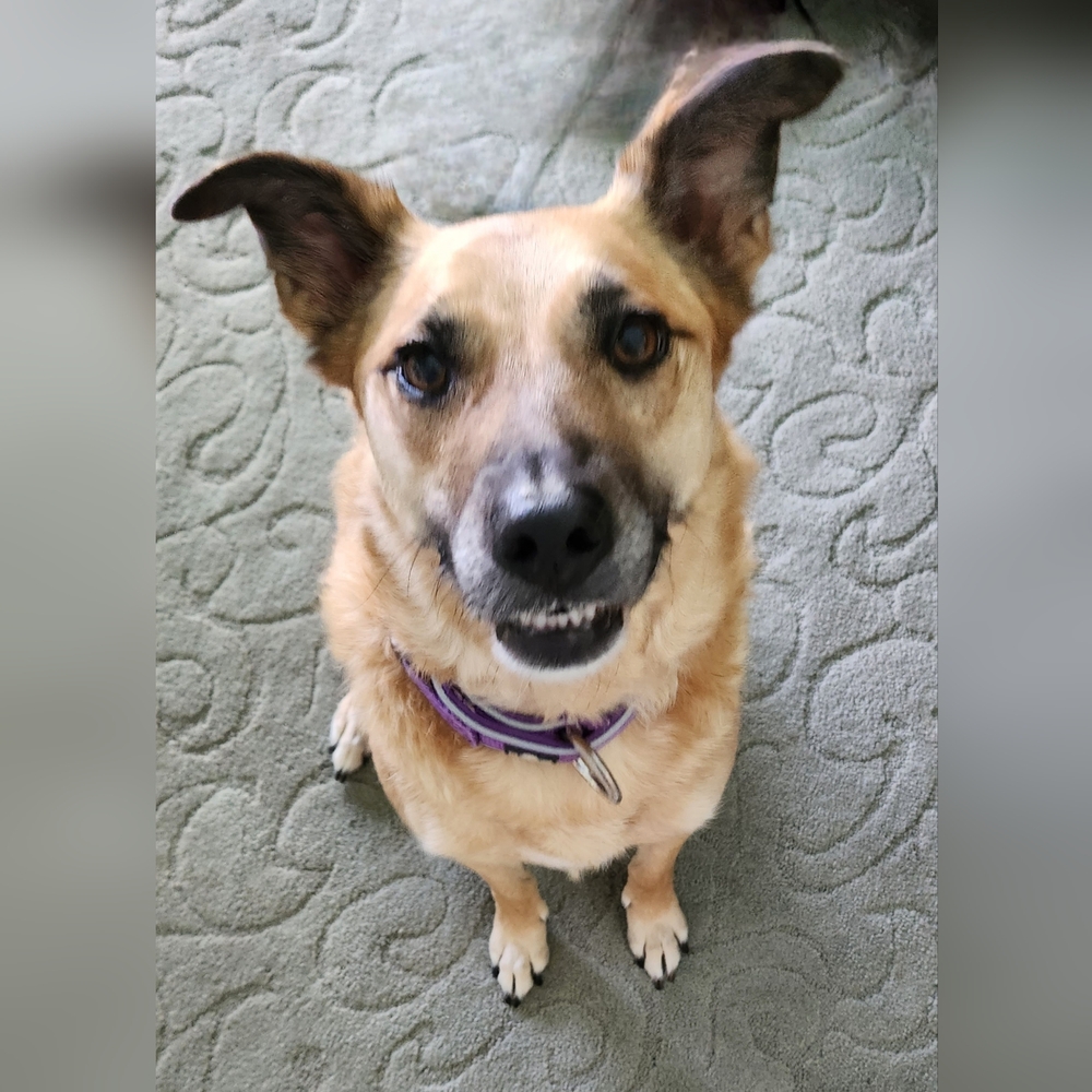 Quality apparel needing new homes!